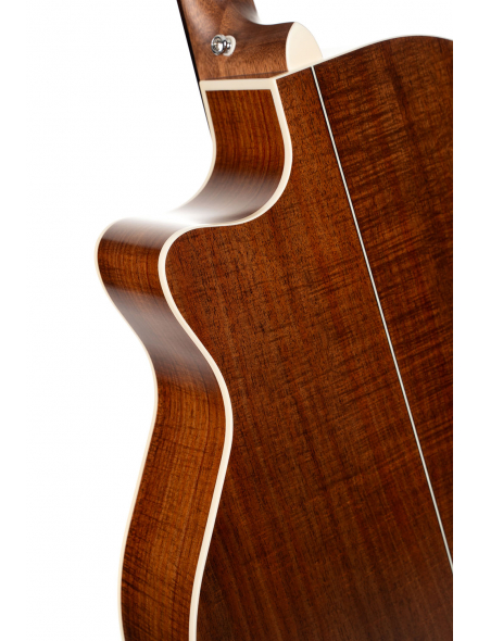 Essence-GA4 Special (Brown Burst Semi Gloss), зображення 3